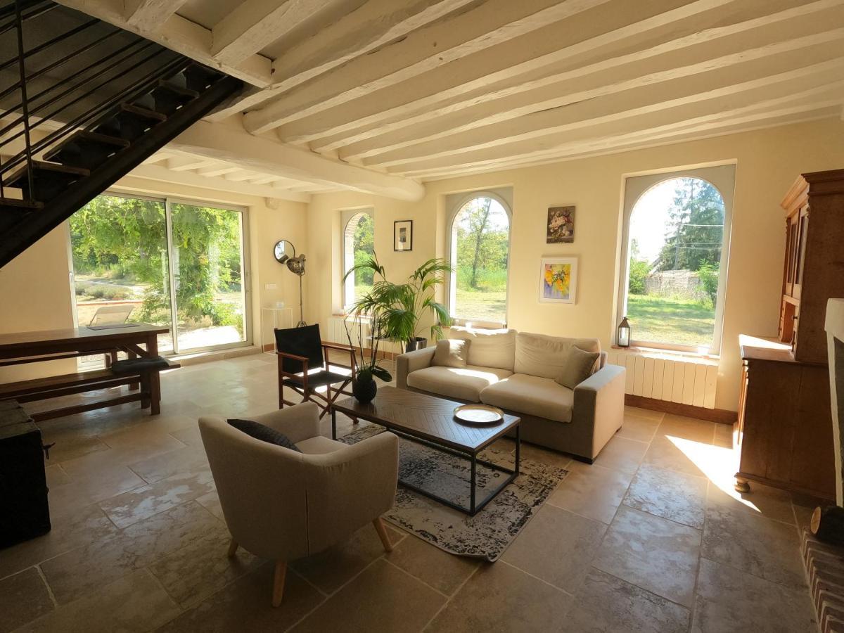 Chateau Des Nouies Vila Selles-sur-Cher Exterior foto
