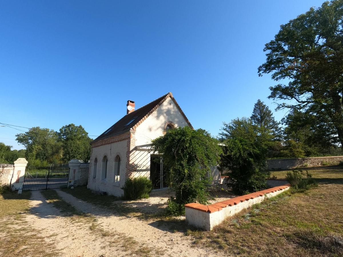 Chateau Des Nouies Vila Selles-sur-Cher Exterior foto